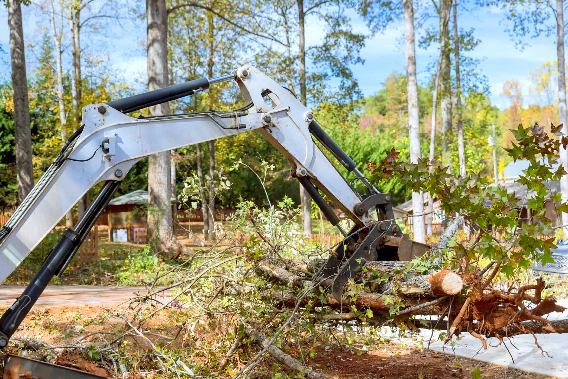 Site clearance company near Surrey