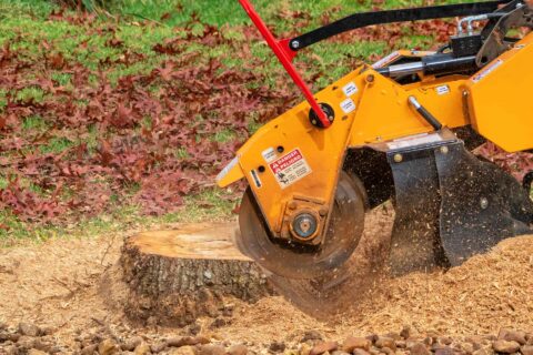 Tree Stump Grinding Services Surrey